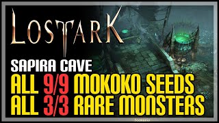 Sapira Cave All Mokoko Seeds amp Rare Monsters Lost Ark [upl. by Dunkin936]