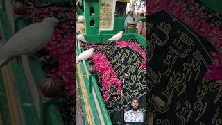 Kaliyar sharif ki dargah [upl. by Notsej]