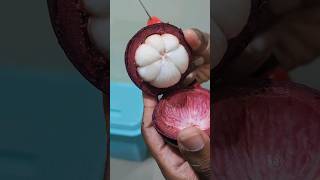 How to eat a Mangosteen Fruit in Malayalam [upl. by Ytak]