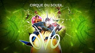 Cirque Du Soleil OVO 5  9 September 2018 [upl. by Atteugram]