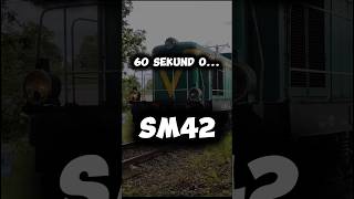 60 sekund o SM42 train pkp trainspotting railway kolej rail ciekawostki travel history [upl. by Kotick]