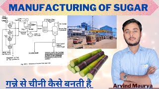 Manufacturing of Sugar Flowsheet  Sugar manufacturing Process in Hindi rasayanclasses [upl. by Artimas]