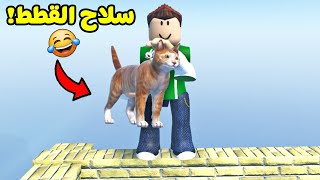 تجربة اغرب انواع الاسلحة  quotسلاح القططquot لعبة roblox  😹🐈 [upl. by Wilmar]