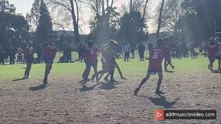 Sec half U12s Scorpions Red vs U12s Papakura sea eagles [upl. by Britta348]