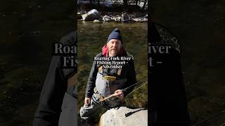 Roaring Fork River Fishing Report  November 2024 aspencolorado flyfishing [upl. by Lesslie]