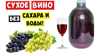 СУХОЕ ВИНО из ВИНОГРАДА без Сахара и Воды  Простой Рецепт [upl. by Adnauqahs]