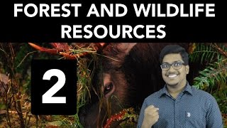 Geography Forest and Wildlife Resources Part 2 [upl. by Mosera]