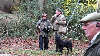 Watch FTCh TURPINGREEN BOHOL runs 2022 Retriever Championship at The Holkham Estate Norfolk [upl. by Dylane]