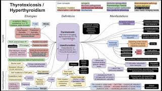 Hyperthyroidism  thyrotoxicosis mechanism of disease [upl. by Otilrac]