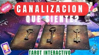 ❤️ CANALIZACION SORPRESA🌻Tarot Interactivo 🌻 tarot tarotreading [upl. by Tartaglia]