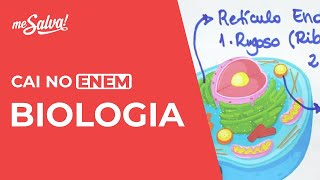 Cai no ENEM Biologia [upl. by Nahte]