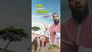 হুজুর পালাচ্ছে কেনো😱bayazid0007 trending hasbunallohstv ytshorts islamic baizedmahmud [upl. by Keene342]