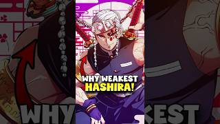 why is tengen such the weakest hashira anime demonslayer hindi [upl. by Eirbua]