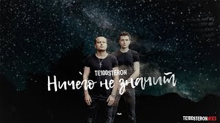 Те100стерон  Ничего не значит Lyric Video [upl. by Tilford378]