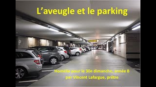 Laveugle et le parking [upl. by Aldarcy]