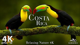 COSTA RICA 4K UHD  Exploring The Wild Side Of Costa Ricas Landscapes [upl. by Etnom39]