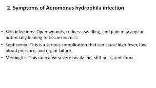 Aeromonas hydrophila A Dangerous Bacterium Not a Flesh Eating Bacteria [upl. by Alac]