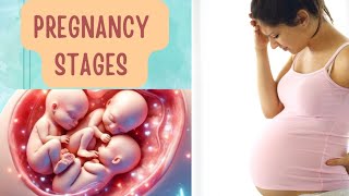 Pregnancy Stages and Symptoms [upl. by Teague]