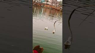 Varanasi chaat Puja 🛕🙏🙏 varanasi [upl. by Merline110]