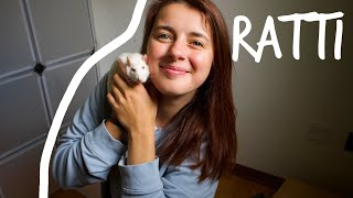 RATTI🐀Come stanno Quanti sono [upl. by Leanora]