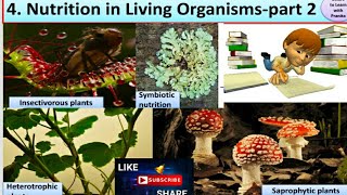 Nutrition in living organismspart 2  STD  7 th Science [upl. by Naihr]