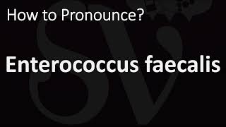 How to Pronounce Enterococcus faecalis CORRECTLY [upl. by Wappes975]