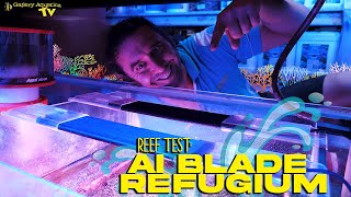 Reef Test AI Blade Refugium  Gallery Aquatica TV [upl. by Amelita105]