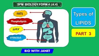 SPM BIOLOGY FORM 4 44 TYPES OF LIPIDS FUNCTIONS PART 3 KSSM BIOLOGY [upl. by Athena]