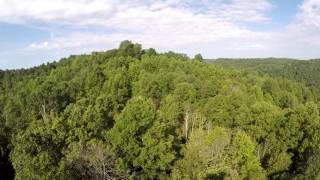 70 Rustic Acres Spencer WV  4028 Acres [upl. by Coombs]