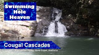 Swimming in several pools at Cougal Cascades in the Gold Coast Hinterland [upl. by Armillas]