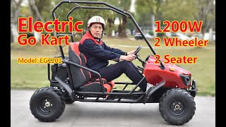 Wholesale Best Price New 1200W 2 Seater Electric Go Kart Buggy from China Factory [upl. by Seaddon]