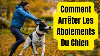 Guide Complet  Comment Faire Taire un Chien qui Aboie sans Cesse [upl. by Mateusz155]