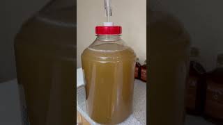 What’s brewing meadery homebrew [upl. by Belcher64]