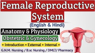 Female Reproductive System Lecture In Hindi  Reproductive System Anatomy And Physiology For Nursing [upl. by Corin]