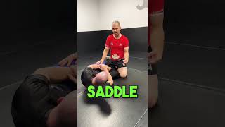 BJJ Saddle position  2 entries from half guard jiujitsu leglocks [upl. by Platon645]