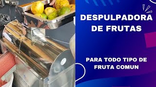 DESPULPADORA DE FRUTAS FUNCIONAMIENTO Y LIMPIEZA [upl. by Oliy]