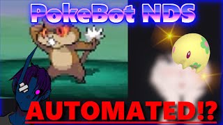 Unleashing the Power of NIDOs PokeBot Your Ultimate Auto SHINY Farming Guide for NDS [upl. by Leahcimal788]