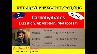 Carbohydrates Digestion Absorption Metabolism Part2 Food amp Nutrition Home Science NETJRF TGT PGT [upl. by Orwin617]