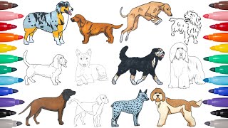 Coloring Dogs from the World  Animal Coloring pages [upl. by Nonnaihr]