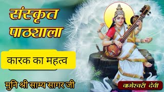 संस्कृत पाठशाला कारक का महत्व ✨मुनि श्री साम्य सागर जी महाराज vishudhravi youtube youtuber [upl. by Attolrac613]