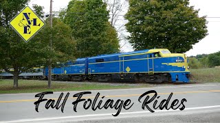 New York amp Lake Erie Railroad Fall Foliage [upl. by Aleekahs]