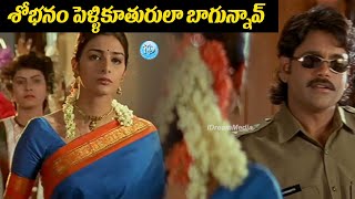 King Nagarjuna Superhit Movie Avida Maa Avide Comedy Scene  Nagarjuna  Taboo  iDream Kurnool [upl. by Vocaay]