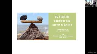 EU State Aid Decisions and Access to Justice [upl. by Romelda]