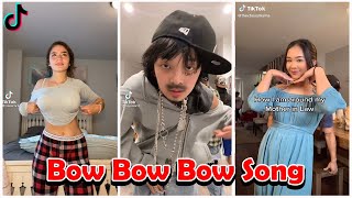 Cant Stop Jiggin  Bow Bow Bow Song  TIKTOK Compilation  Hd4president [upl. by Nylehtak569]