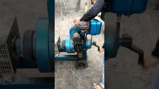 How to start generator by hand [upl. by Nichol]