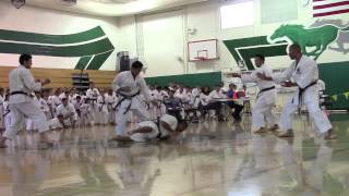 Unsu Bunkai Demo Performed by sensei Kyle Funakoshi [upl. by Issor432]