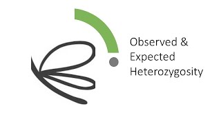 Observed and Expected Heterozygosity [upl. by Oidgime]