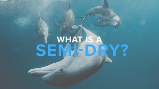 What Is A SemiDry  Deep Dive [upl. by Yevad]