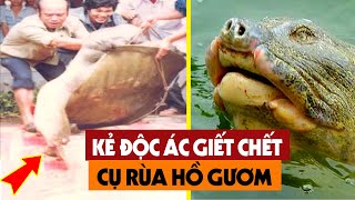 SỐC Lộ Diện Kẻ Xuống Tay Lấy Đi Mạng Sống Của Cụ Rùa Hồ Gươm  Người Dân Việt Nam Nghẹn Ngào [upl. by Einnaoj]