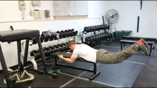 Bodyweight Reverse Hyperextension [upl. by Anavrin]